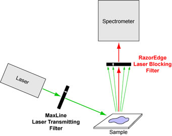 standard raman spectroscopy layout