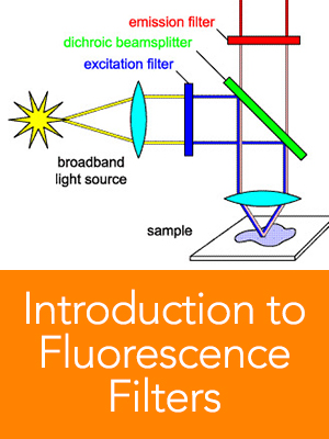 introduction to fluorescence filters