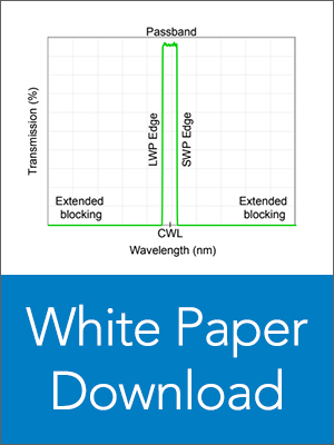 download the white paper
