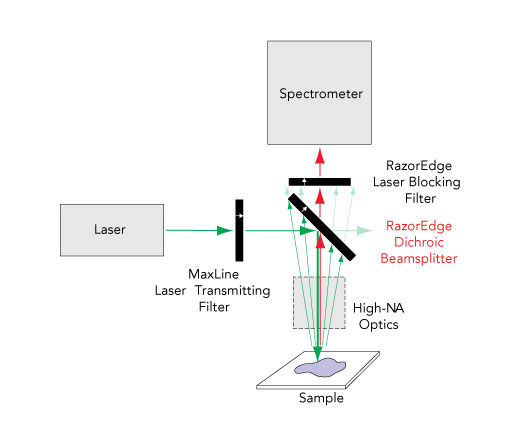 how to set up raman spectroscopy application