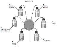 6 way selection port set up