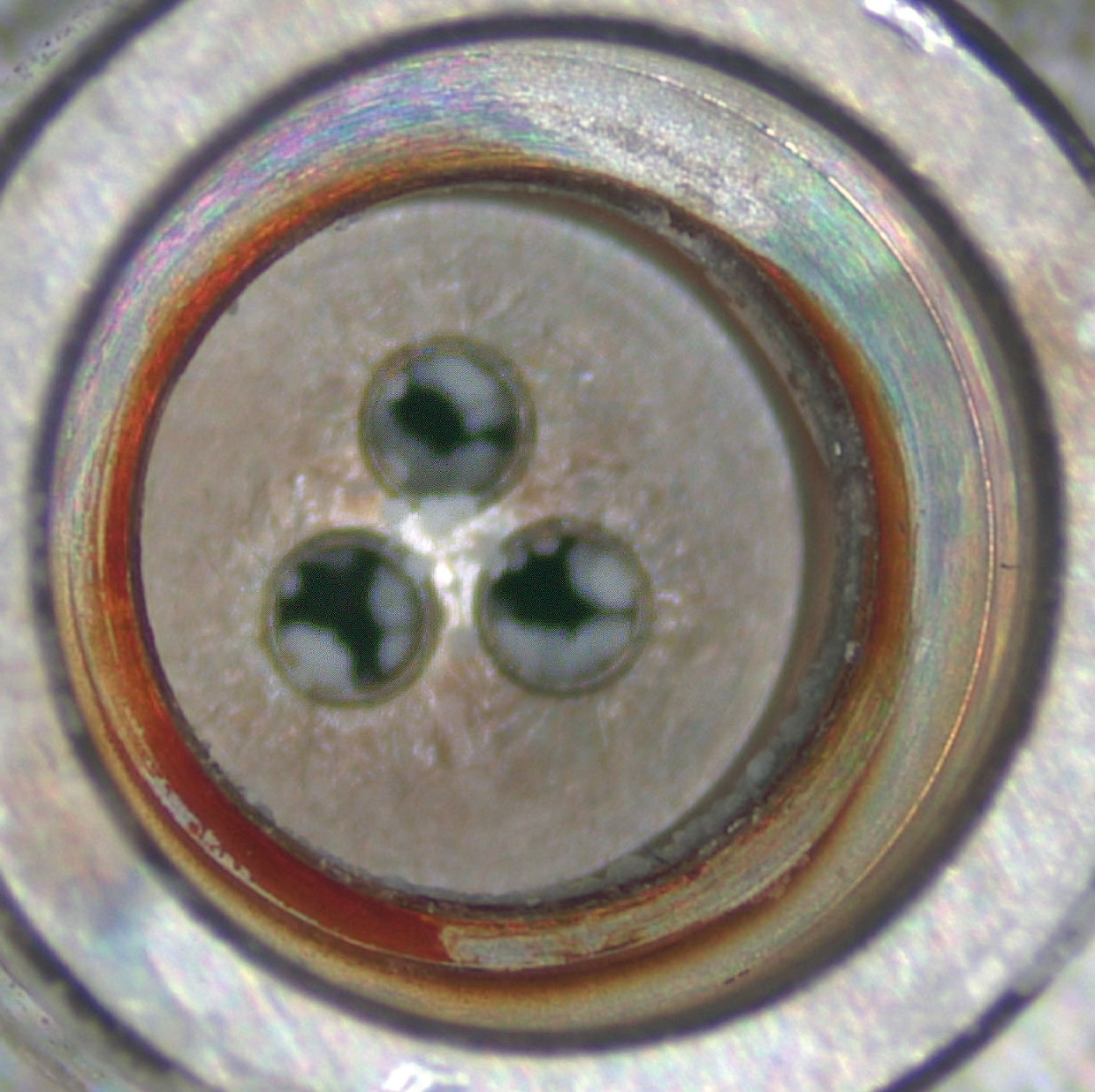 crystallization in ball cage thru holes when cartridge dries out after use of a mobile phase