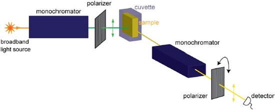 Spectrofluorometer for polarization measurement
