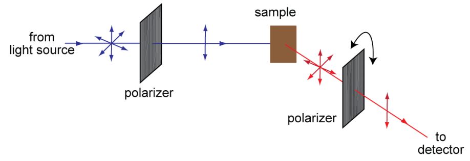 the basic principle employed in conventional fluorescence polarization studies