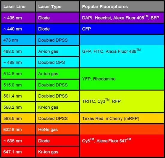 Lasers for popular fluorophores