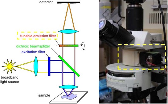 Principle of operation of the microscope and the standard Olympus BX41 microscope