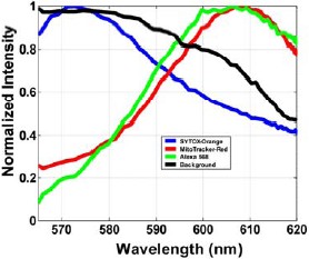 Reference spectra for 4 fluorophores